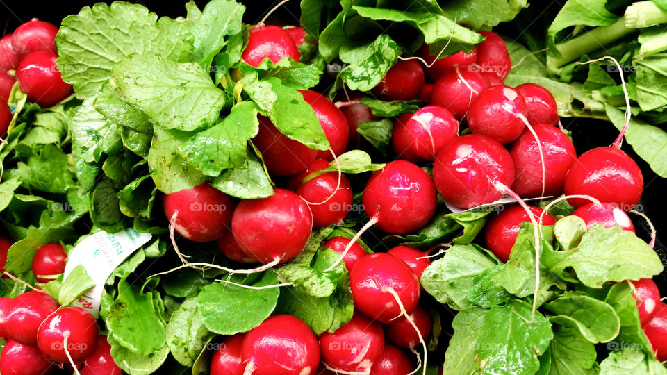 Radishes