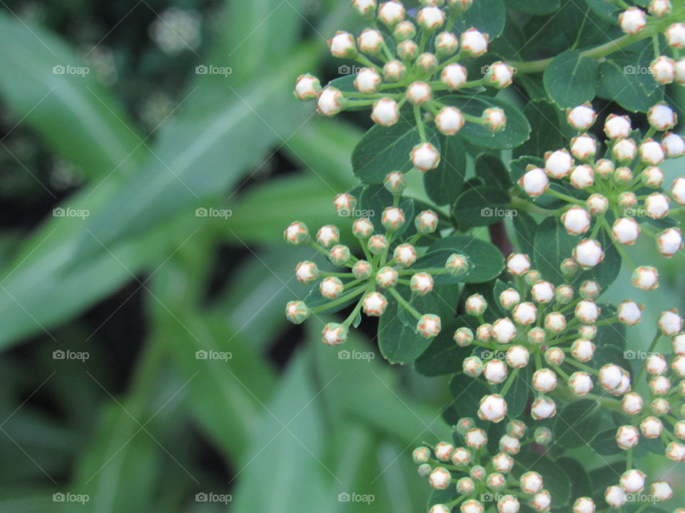 everyone follow my Instagram (@jasmyn.beaudry) for a follow back and a like on all your pictures