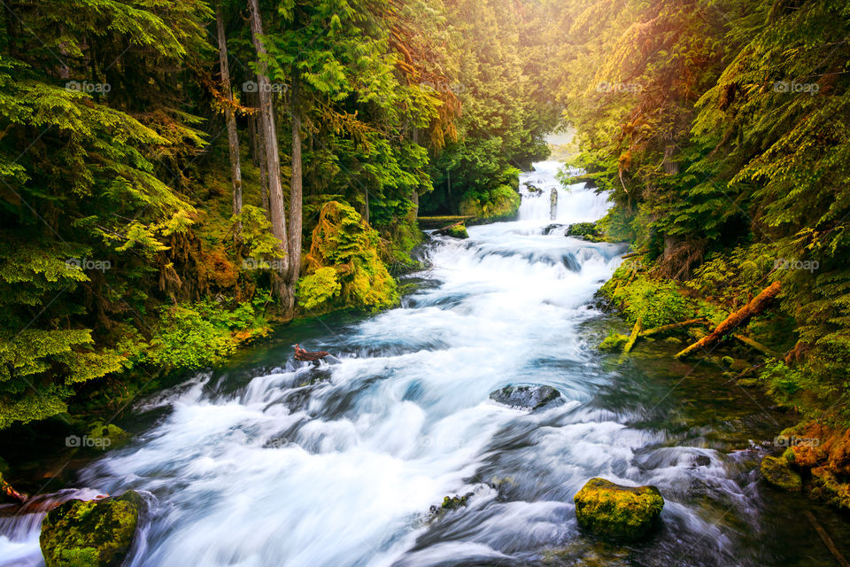 Waterfall, Water, No Person, River, Fall