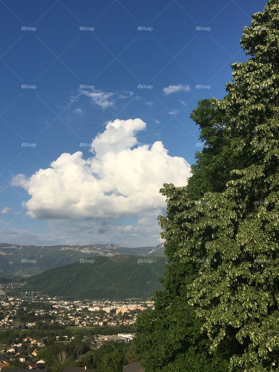 Despite Covid-19 nature remains beautiful 