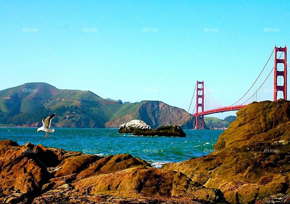 Golden gate 