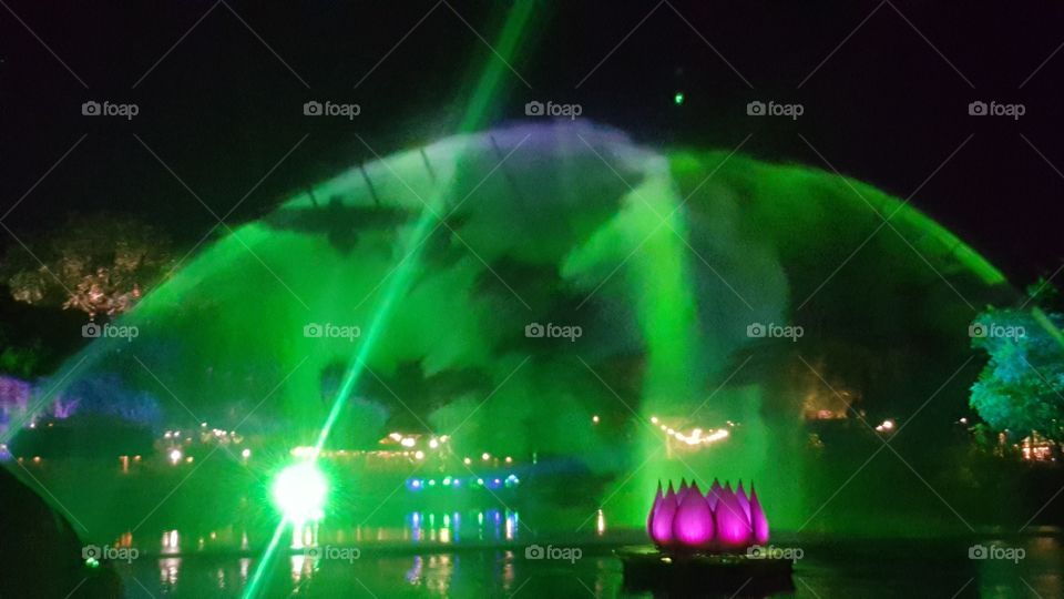 Birds take flight in the misty water above Discovery River during Rivers of Light at Animal Kingdom at the Walt Disney World Resort in Orlando, Florida.