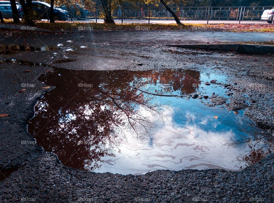 Autumn puddle