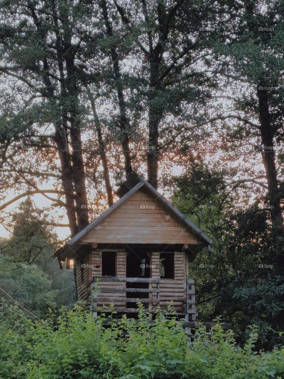 forest cabine