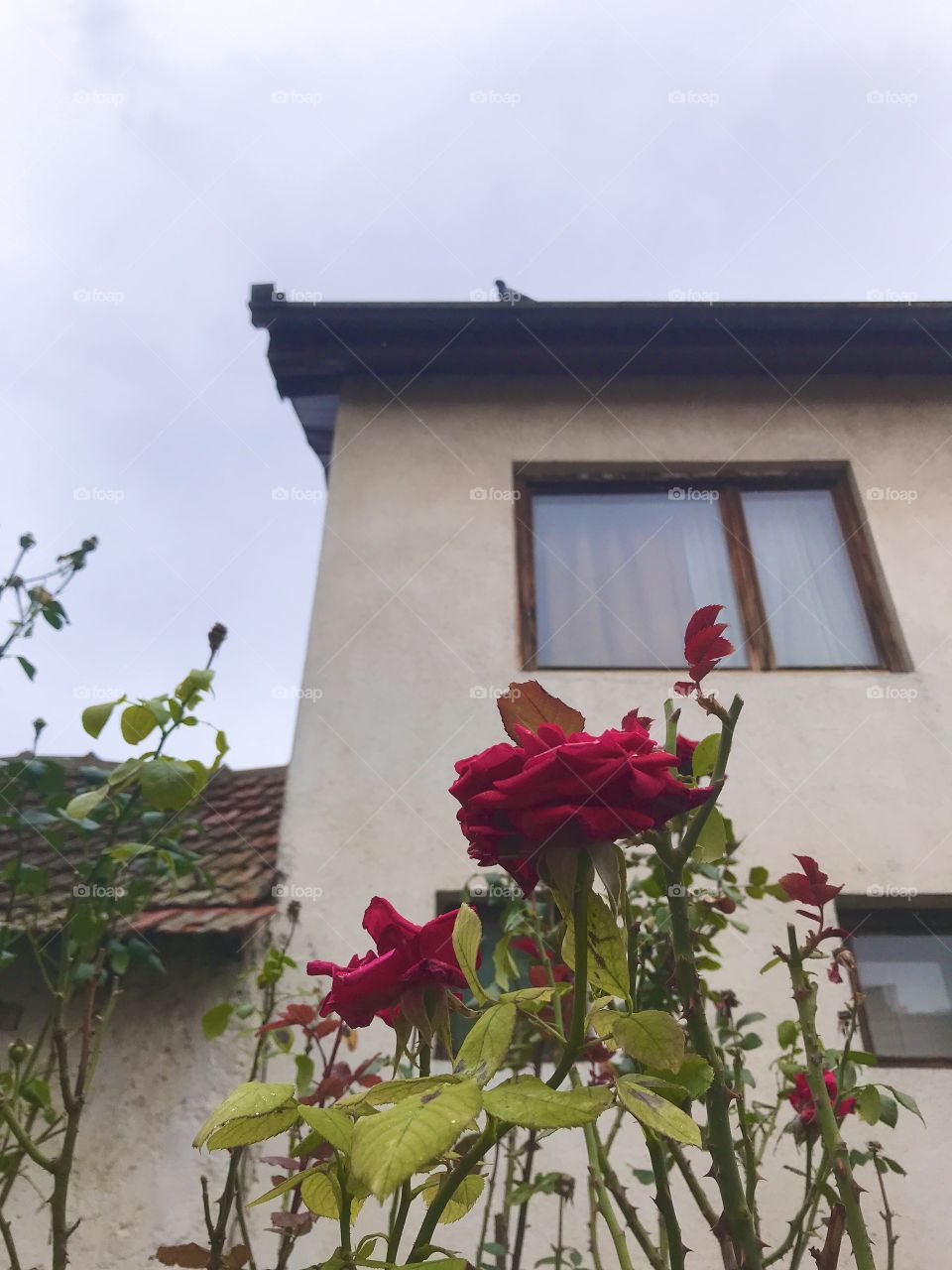 One house in the countryside.