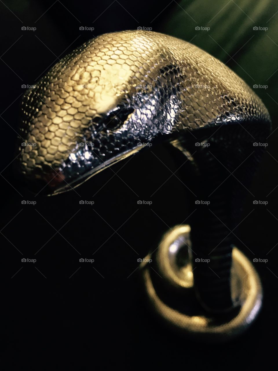 Snake