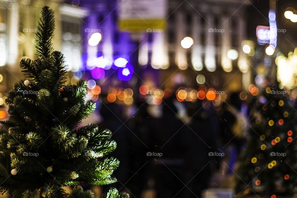 Christmas, Celebration, Winter, Christmas Tree, Decoration