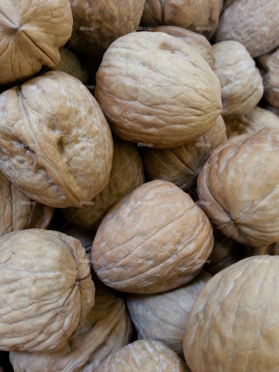 walnuts. nuts