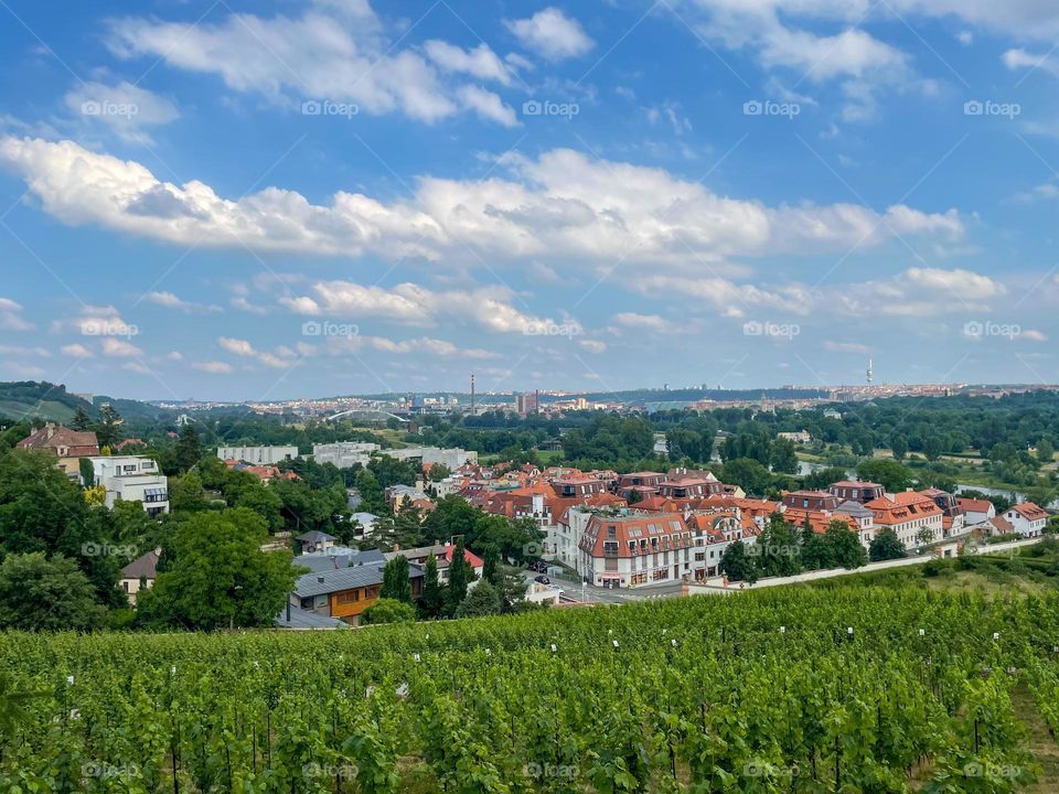 St. Klara's Vineyard in Prague Troja photographed from the bottom of the botanical garden during a sunny day with cloudy skies.