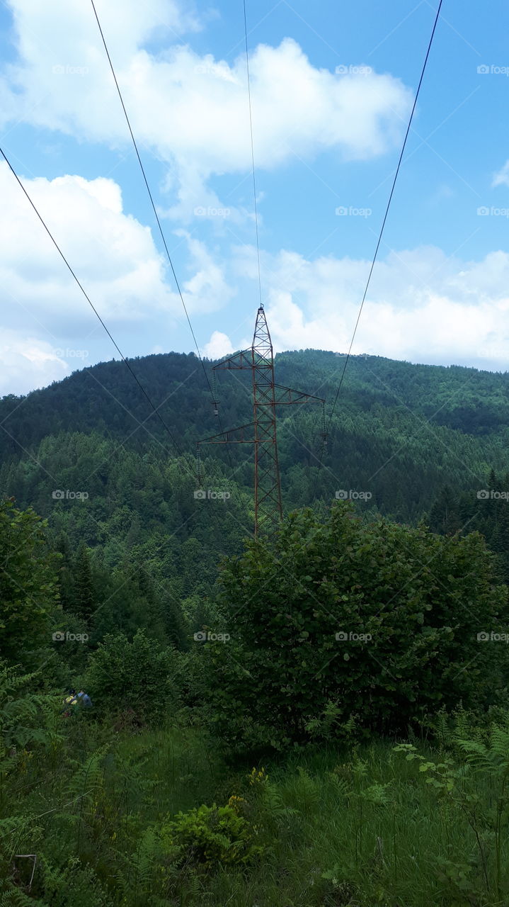 A view of the woods and the power lines stretching across forests and hills