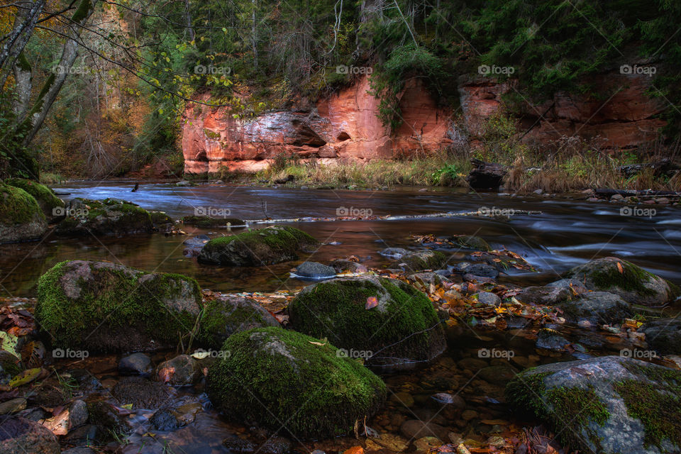 Autumn color. River and autumn.