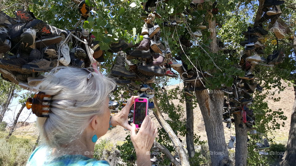 the shoe tree in rural Nevada United States of America 2017 with my mom who is taking pictures with her iPhone