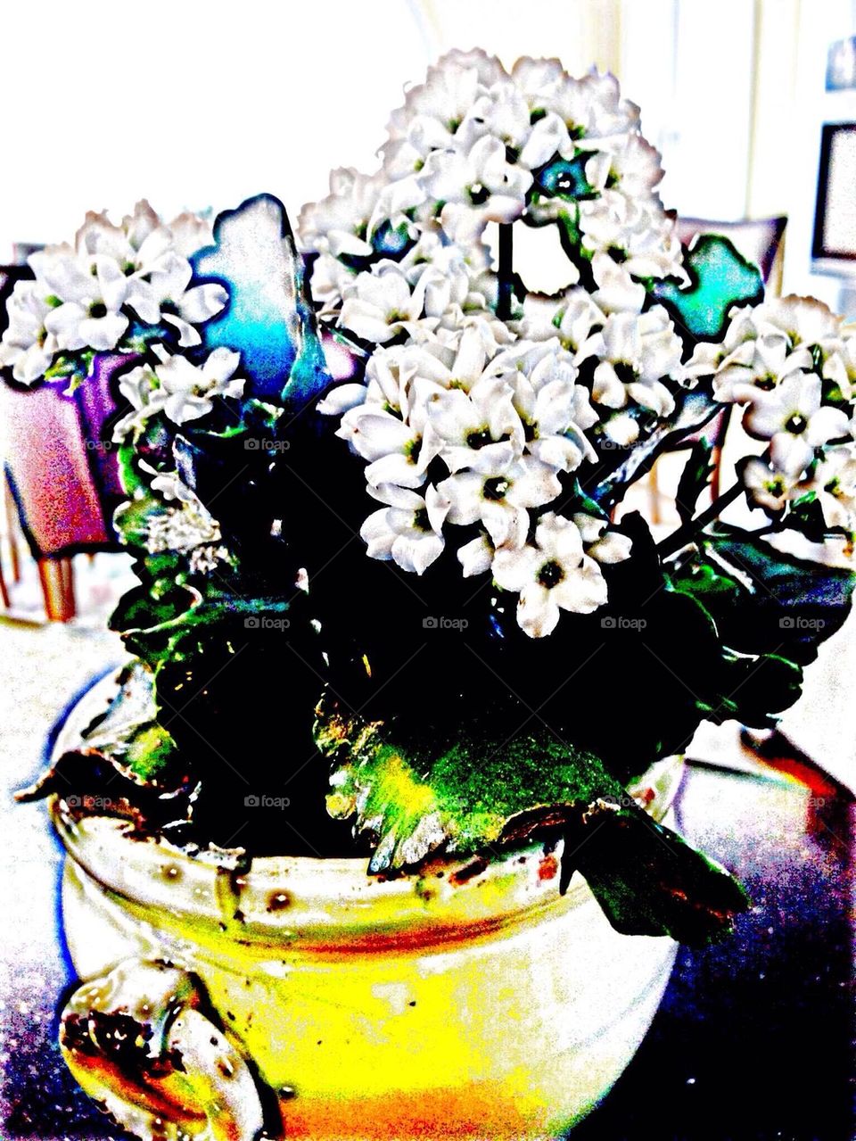 White flowers in house vase