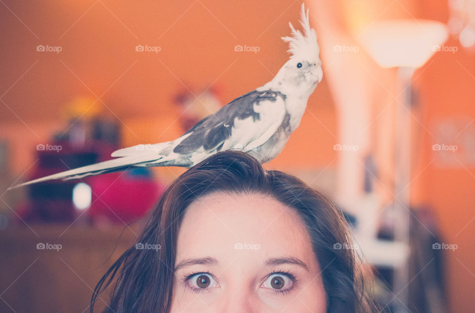 Bird perching on woman's head