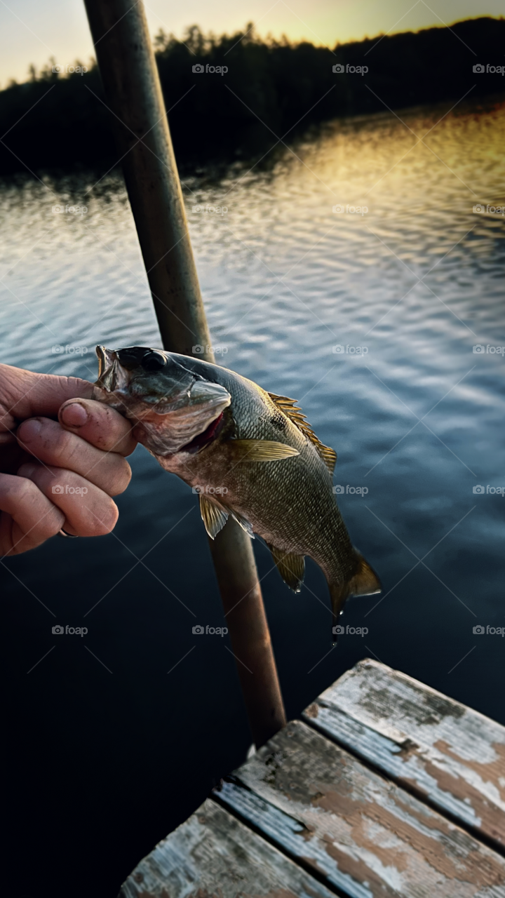 Catch and release 