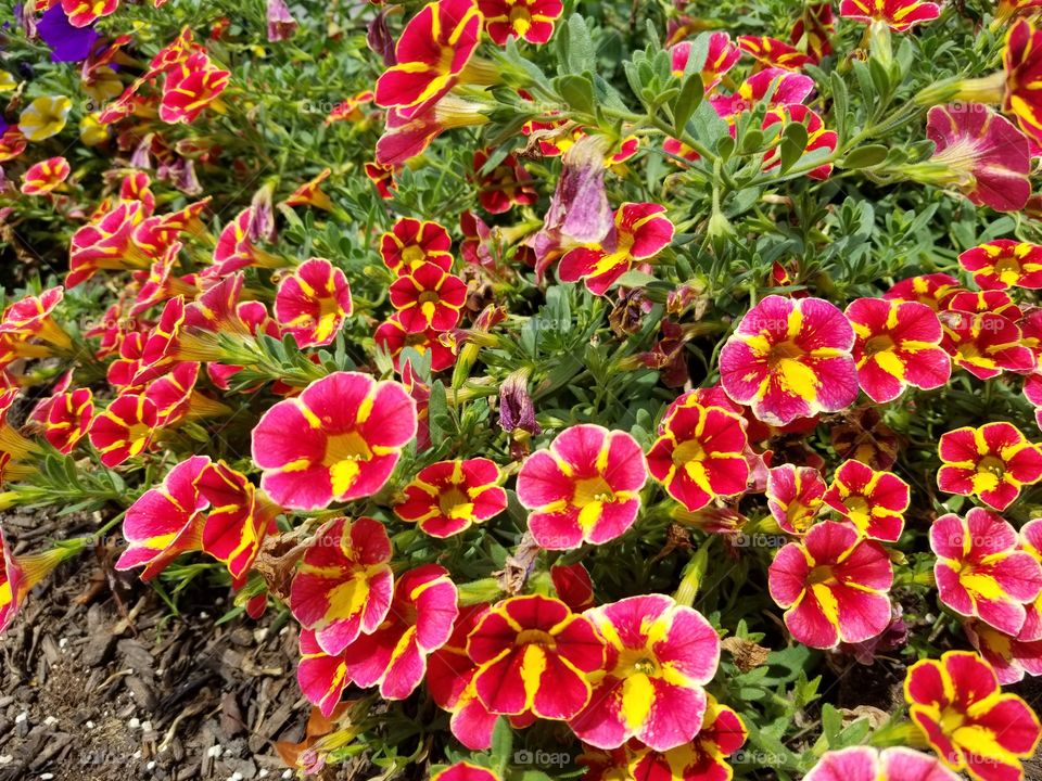 Spring is in the air