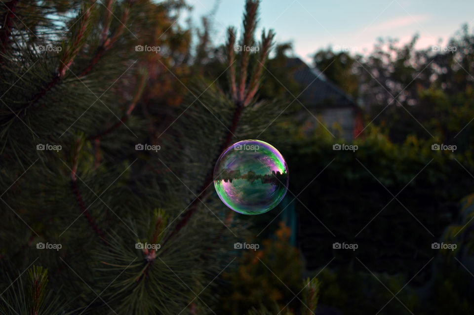 A moment, a millisecond in life can last longer than eternity. This bubble is a metaphor for that. A beauty of each and every moment and also a perfect reflection.