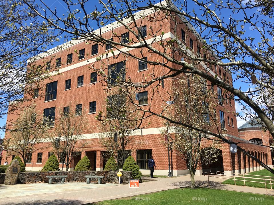 Library at WCSU