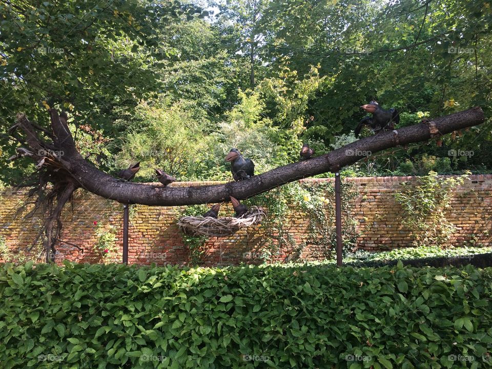 No Person, Tree, Leaf, Wood, Outdoors