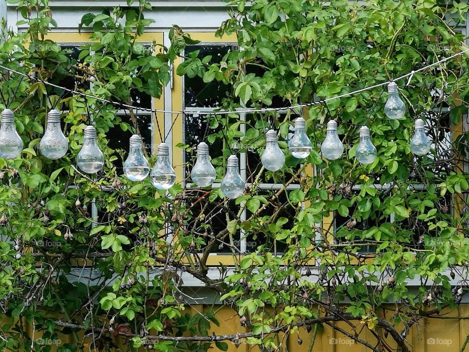 Light-bulbs hanging in front of window