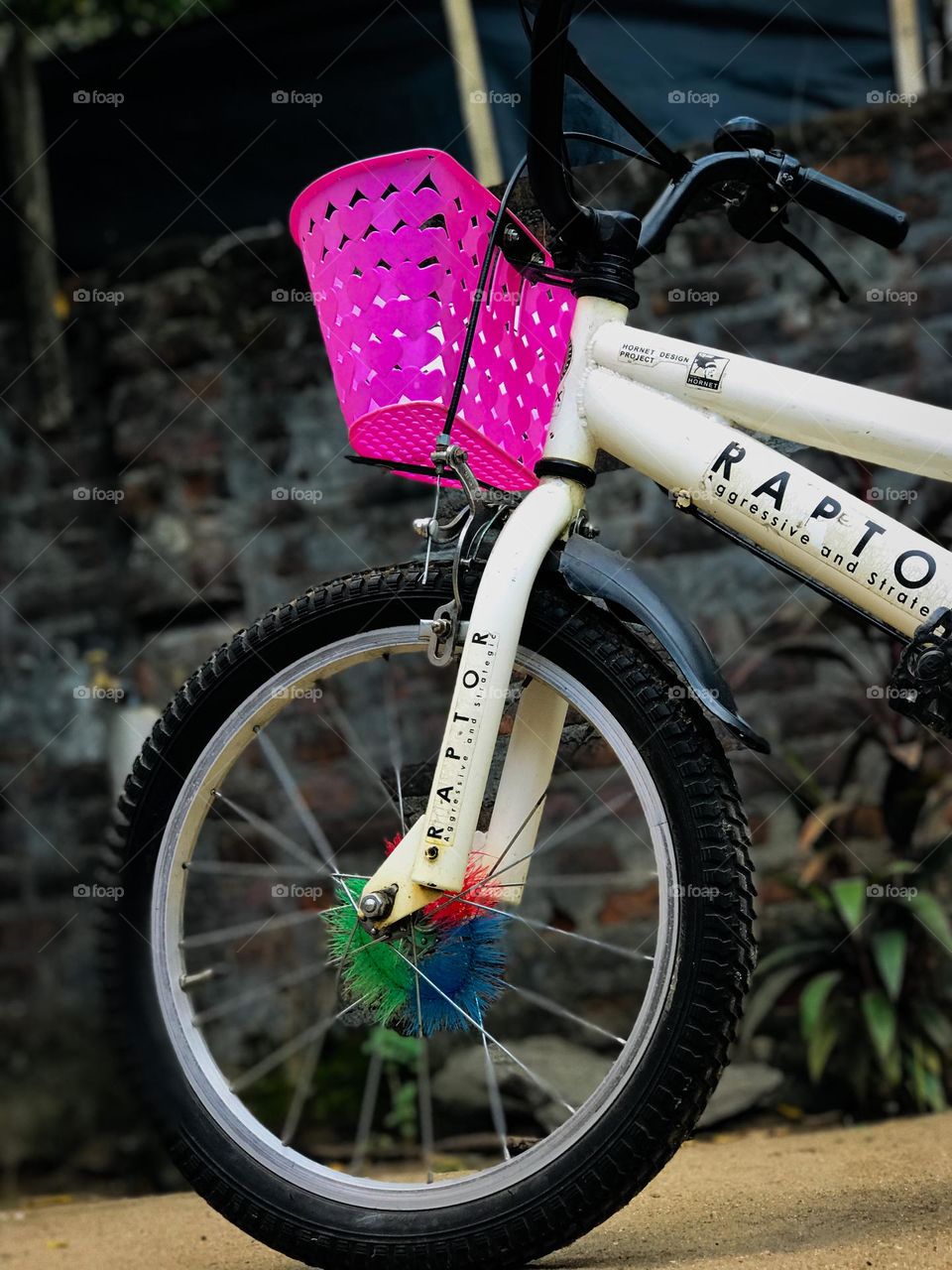 Let’s start the ride🚵‍♀️