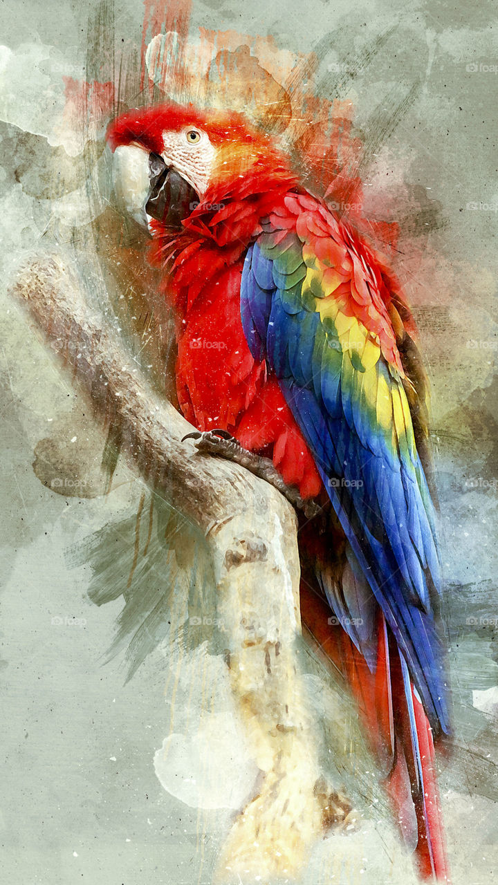 Drawing and painting skills...please buy my art...