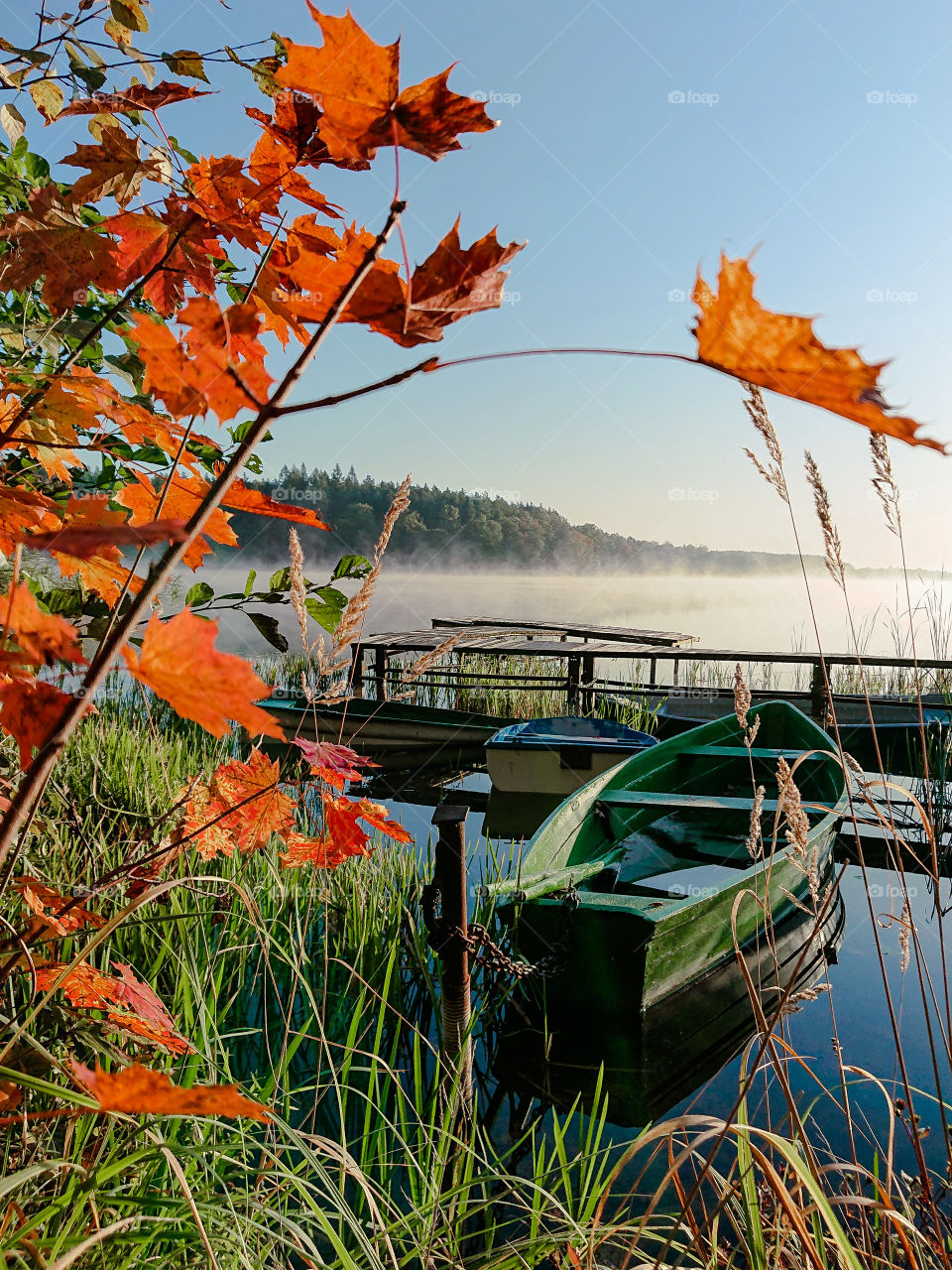 Autumn colors