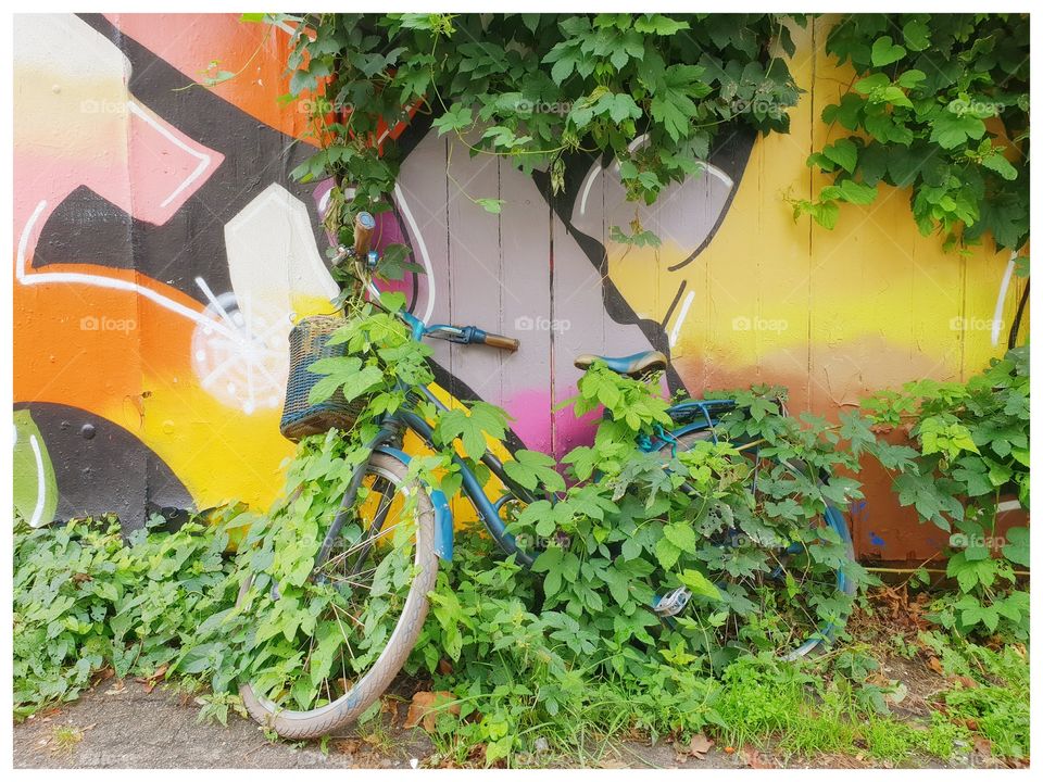 An old bike overgrown with plants against a beautiful graffiti wall.