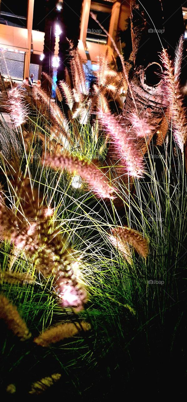 Take a walk in the trees & smell the wild air. Nature's ability to heal is greater than anyone has permitted you to believe.