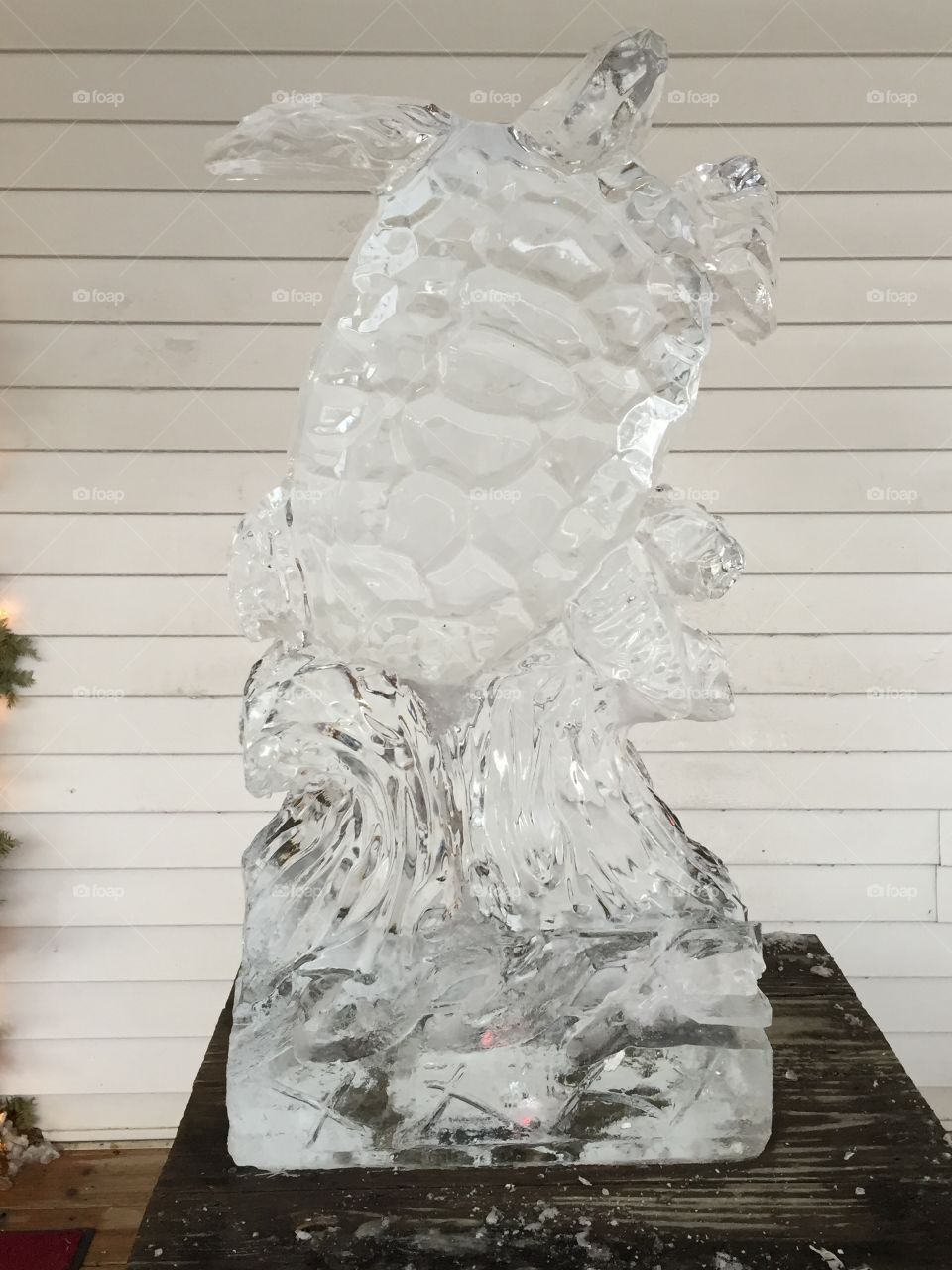 Sea turtle ice carving