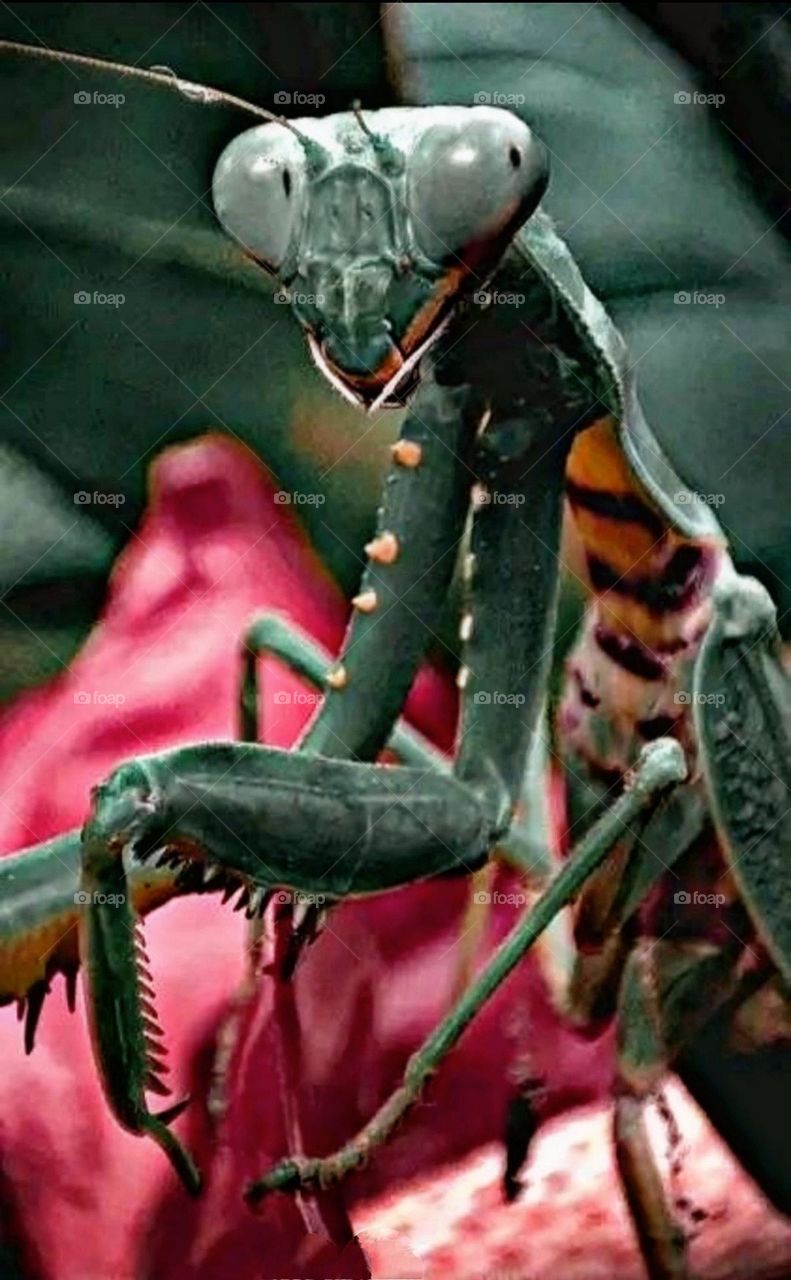 A most beautiful and attractive view in the garden.