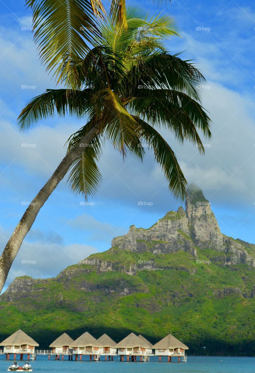 No Person, Travel, Tropical, Summer, Beach