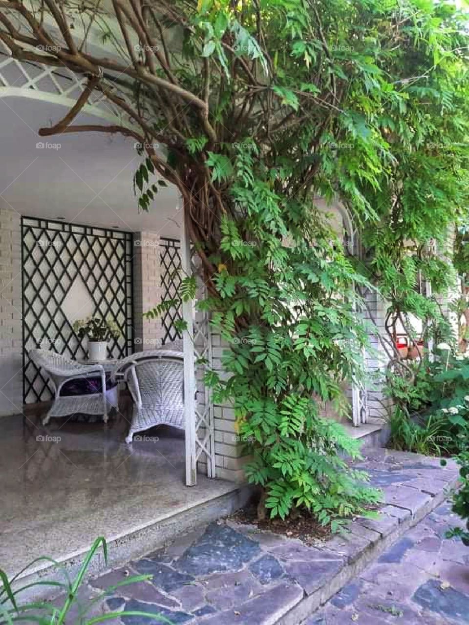 Having nature near to you