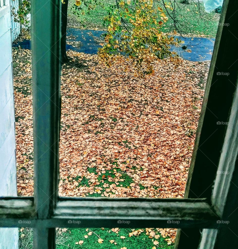 Inside Looking at Autumn