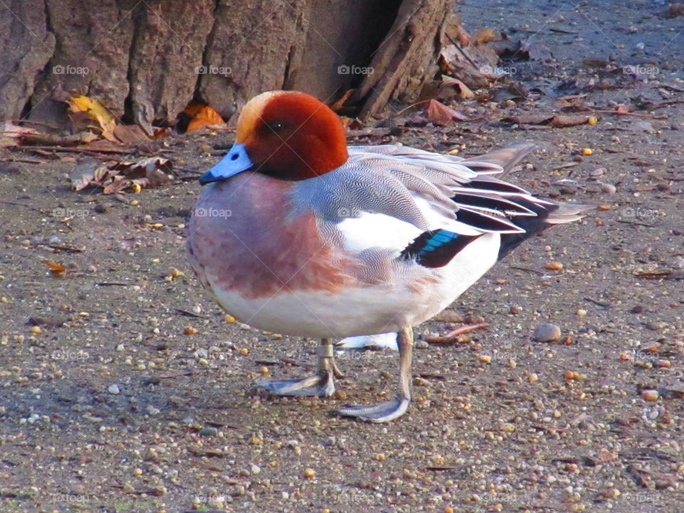 Belive me, I'm not angry! :)