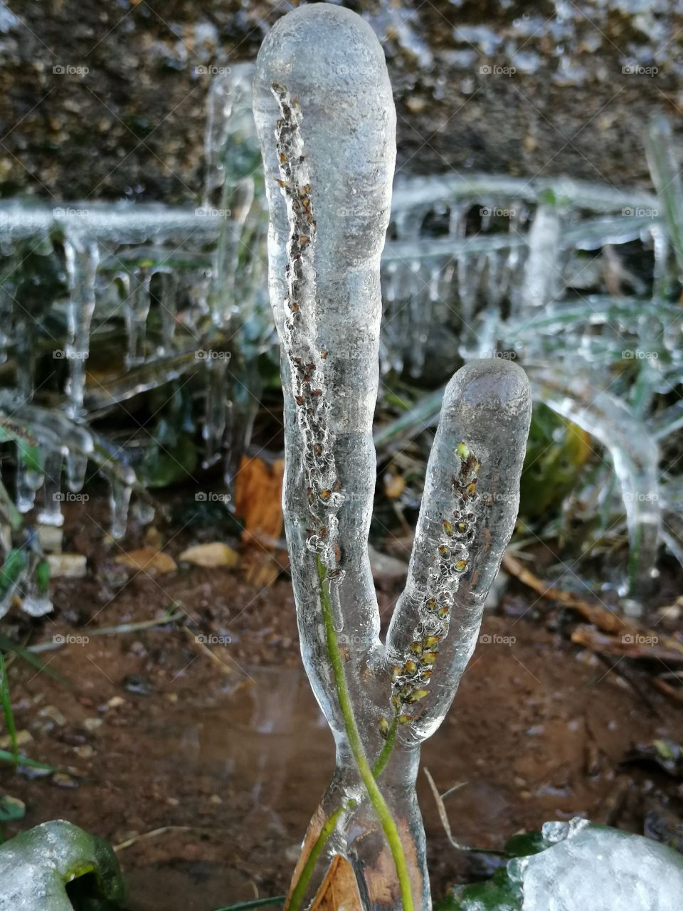 The signs of winter.