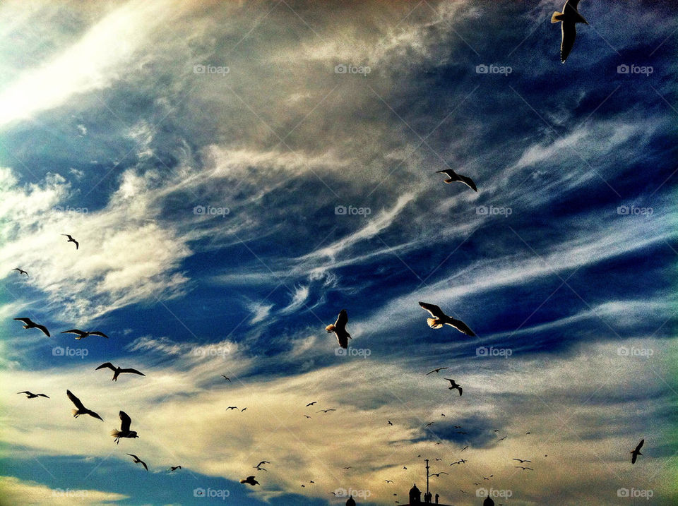 sky clouds birds peace by oaslani