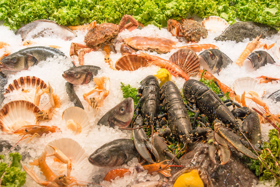 Fish And Seafood On Ice In The Market
