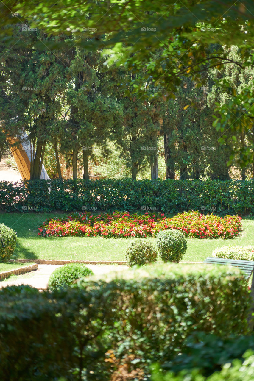 Laberinto de Horta (Barcelona