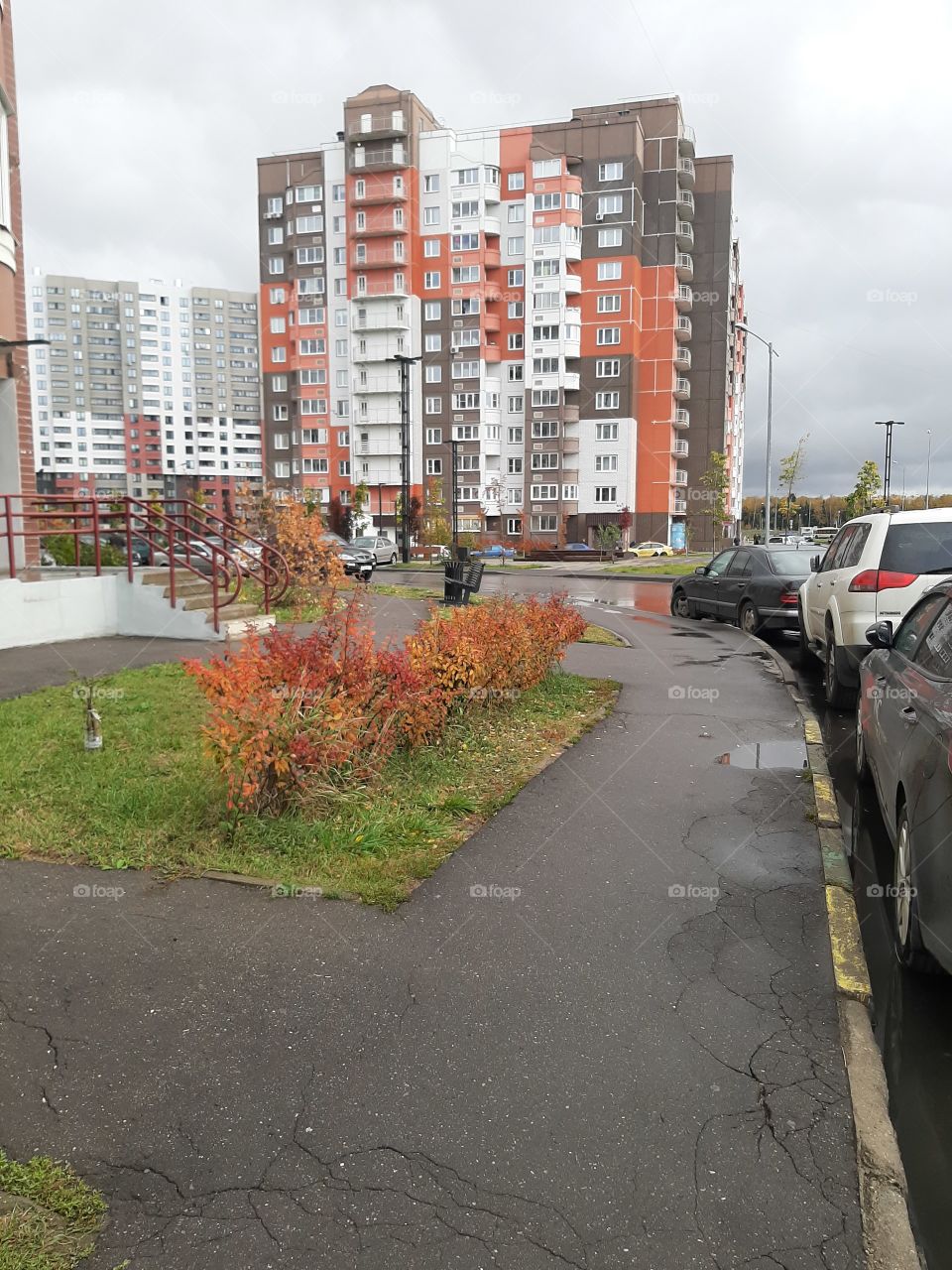 Новая  Москва