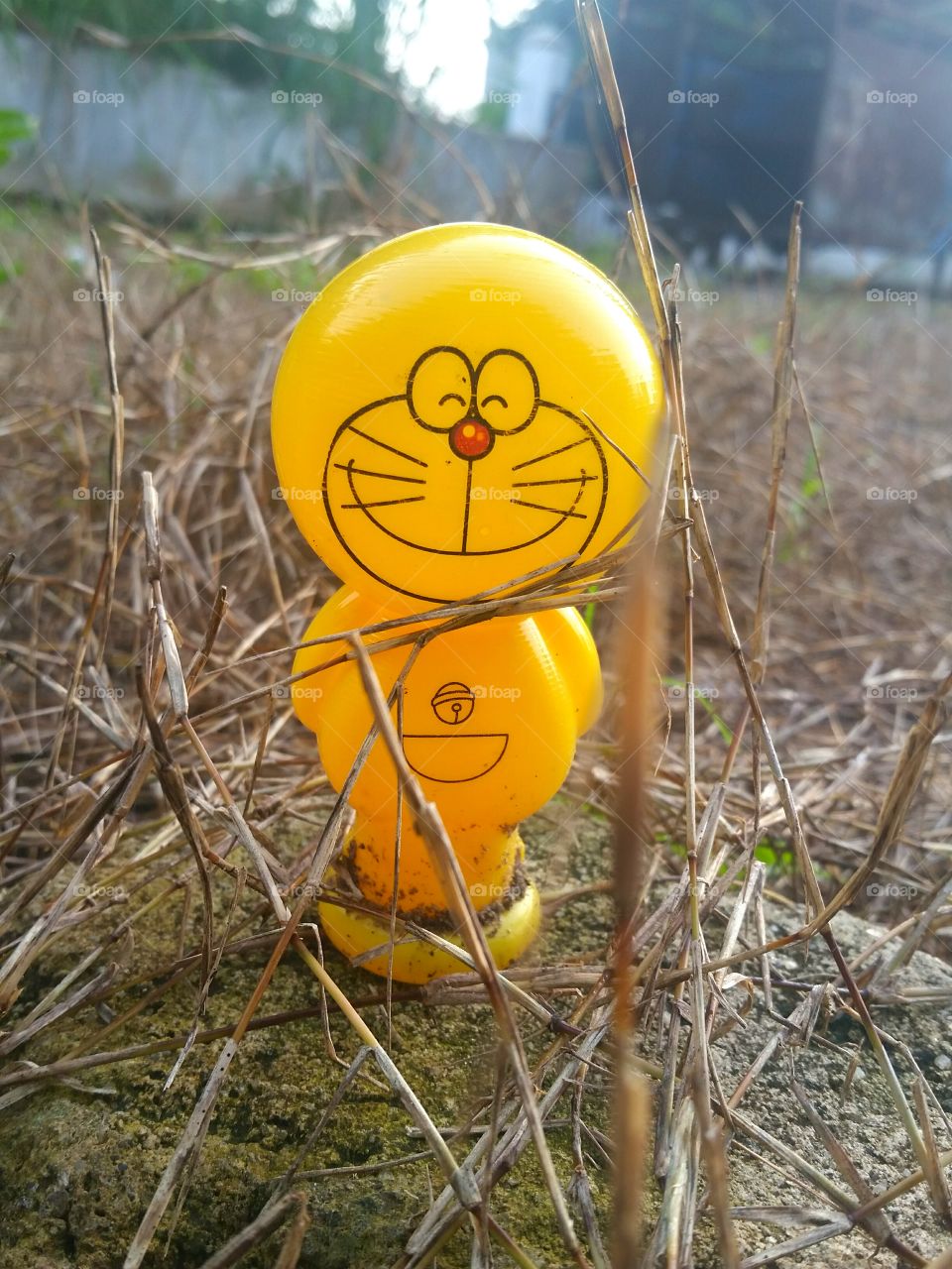 doremon toy on a stone around dry weeds in the morning time.