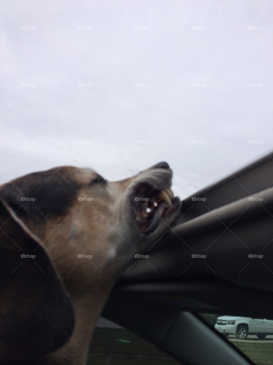 Angry at the wind