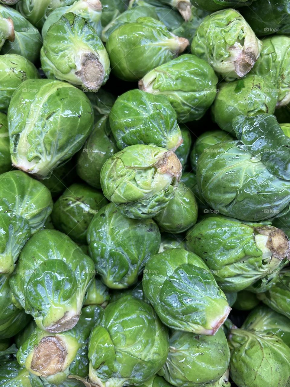 Brussel Sprouts 
