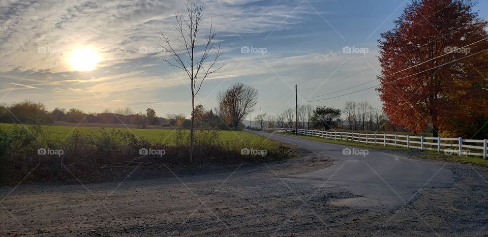 Country Lane on a Sunny Fall Day