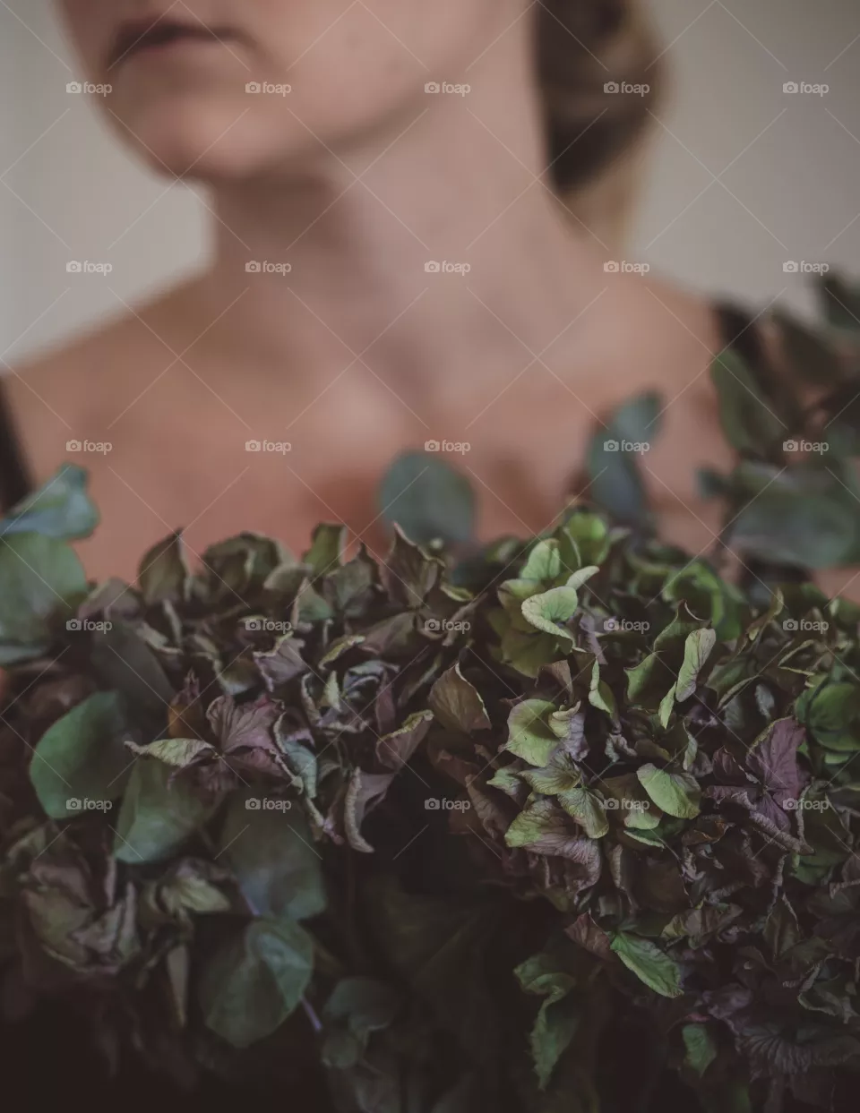 Hortensia