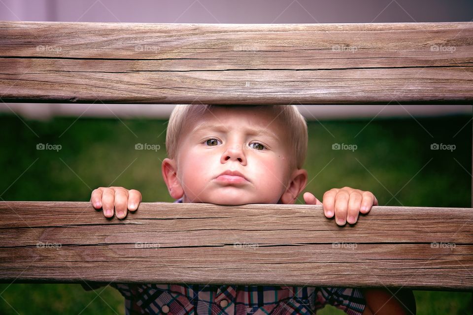 Boy looking through wooden fence