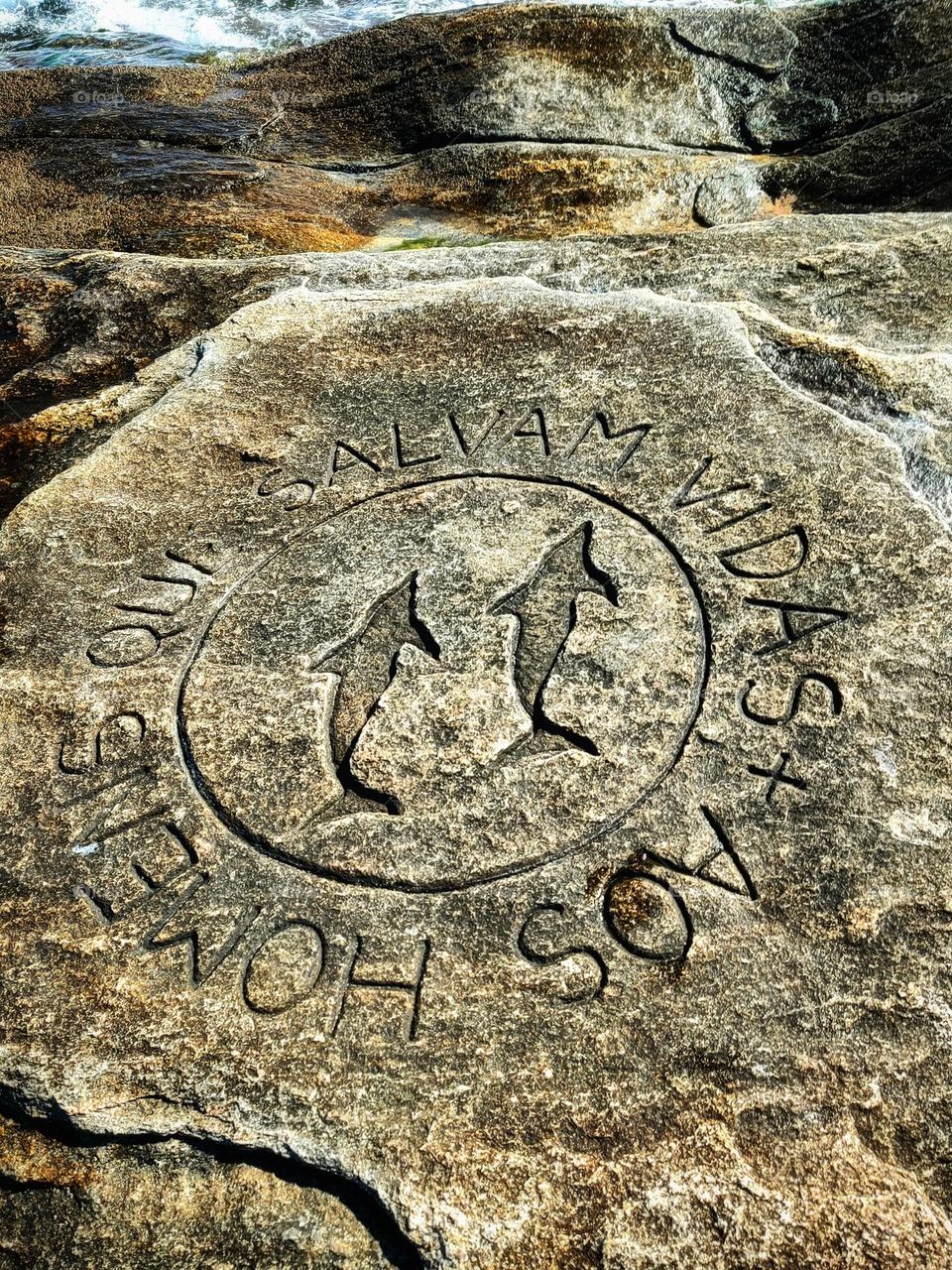 A circle with two dolphins were carved on the stones of Cavaleiros beach in Macaé RJ -Brazil with the words to the men who save lives. A beautiful tribute.