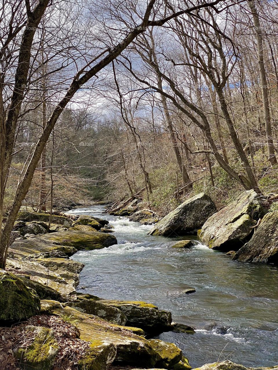A river lined with large rocks