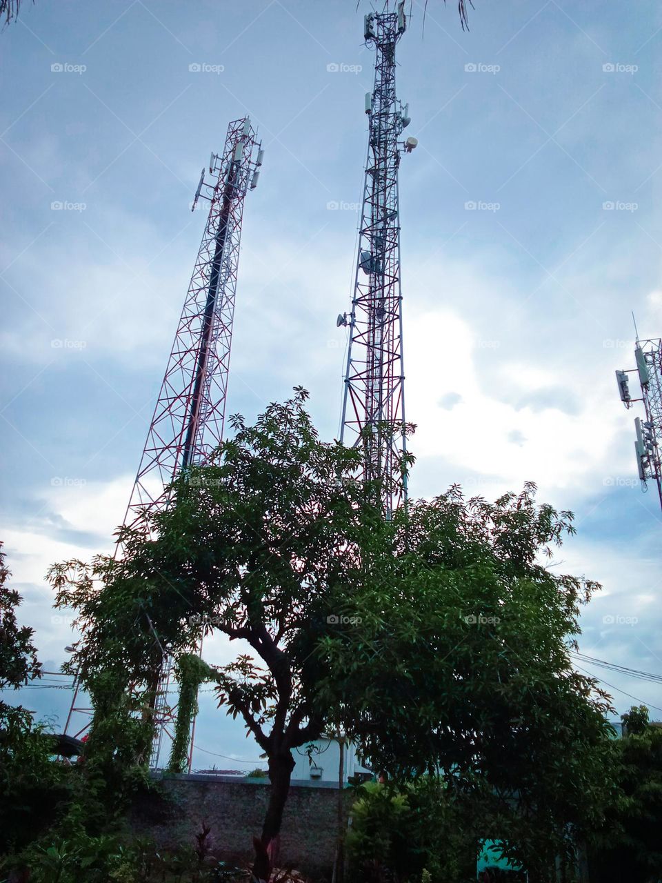 Beautiful view of the tower in the evening