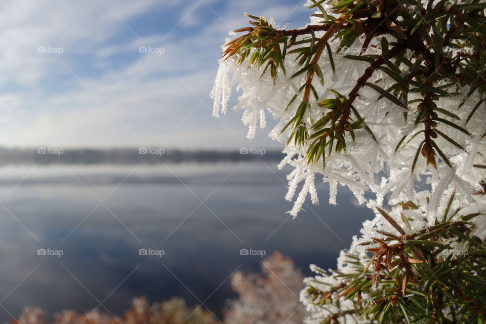 View of winter